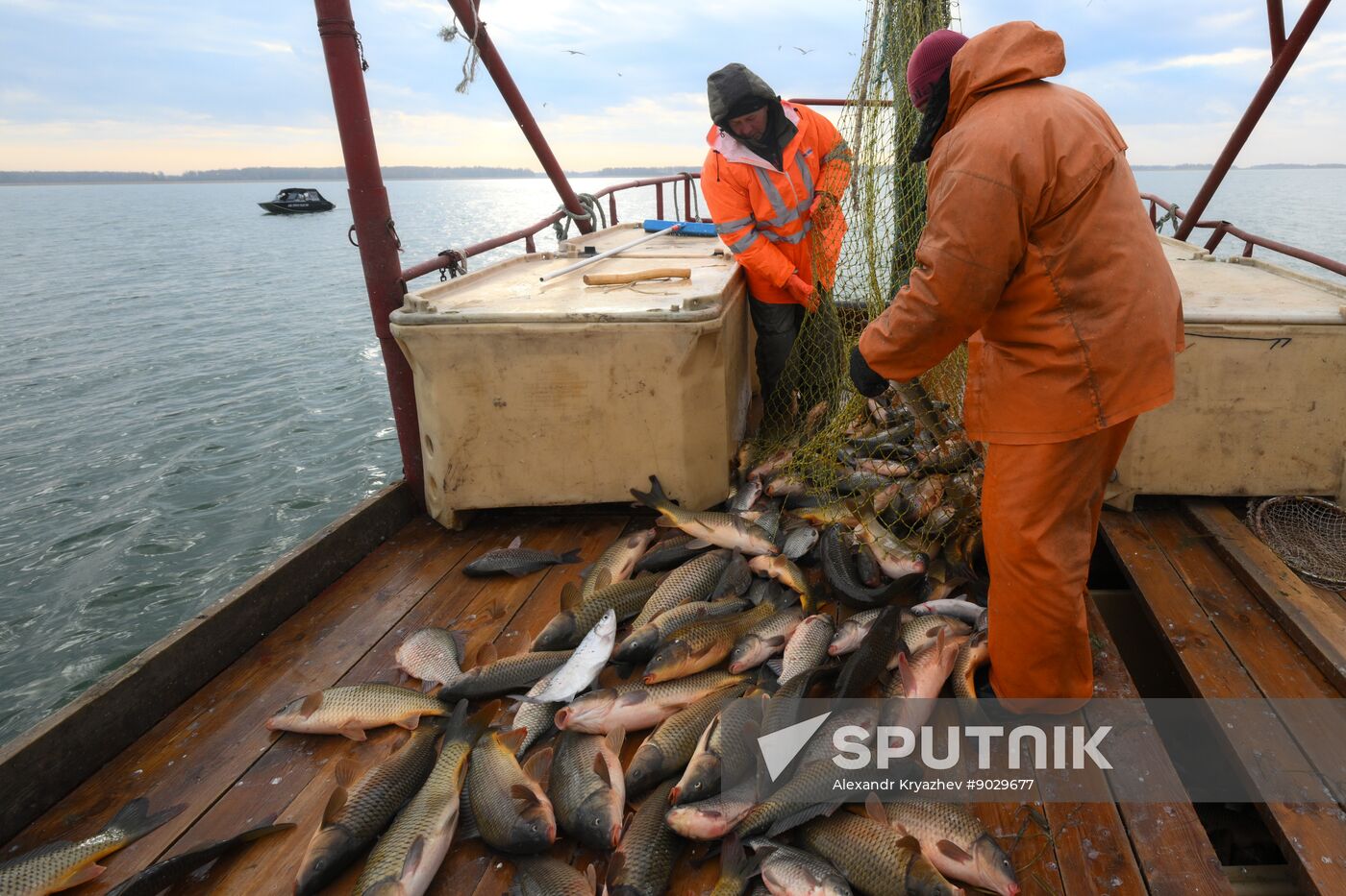 Russia Fish Industry