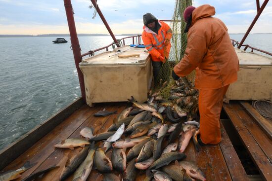 Russia Fish Industry