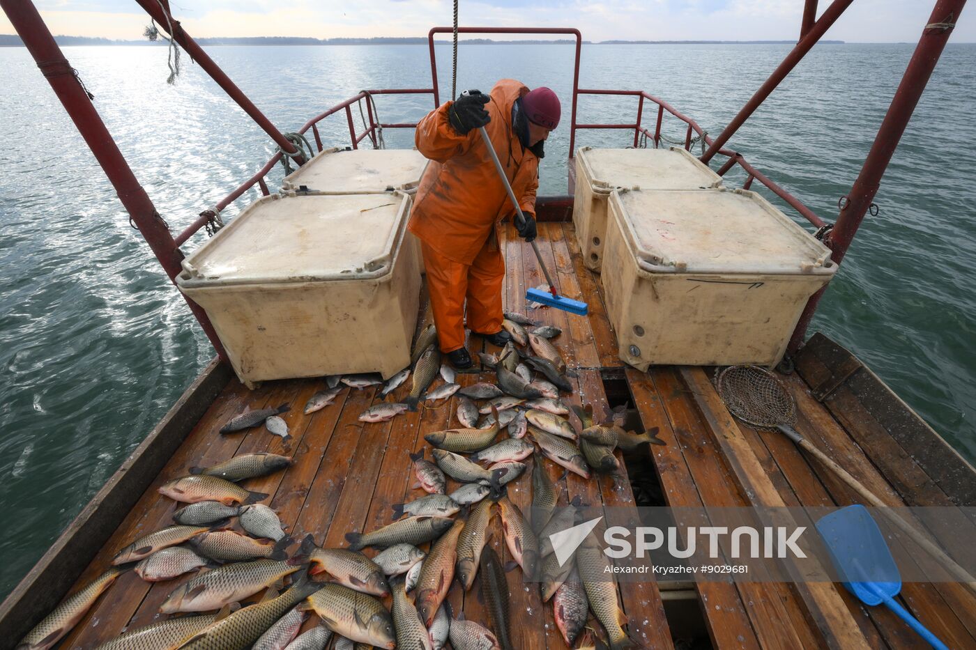 Russia Fish Industry
