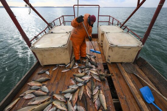 Russia Fish Industry