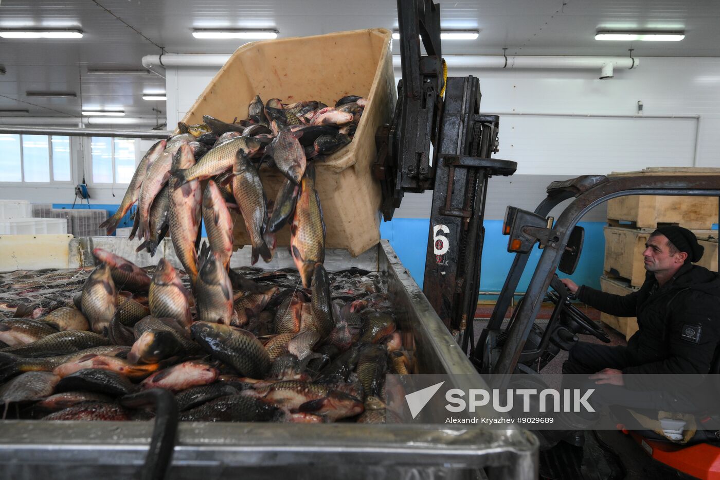 Russia Fish Industry