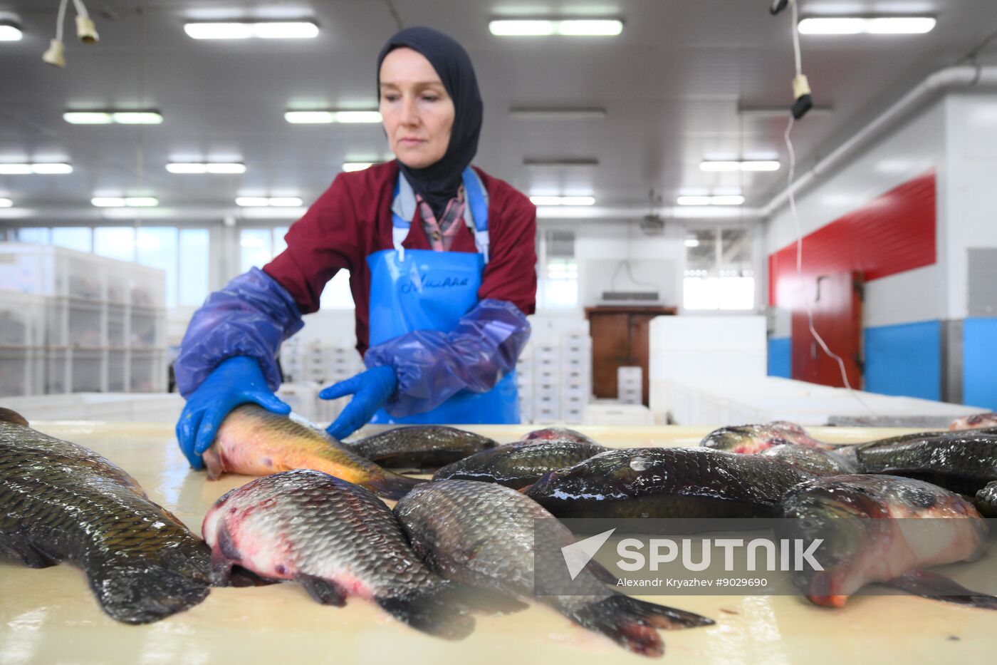 Russia Fish Industry