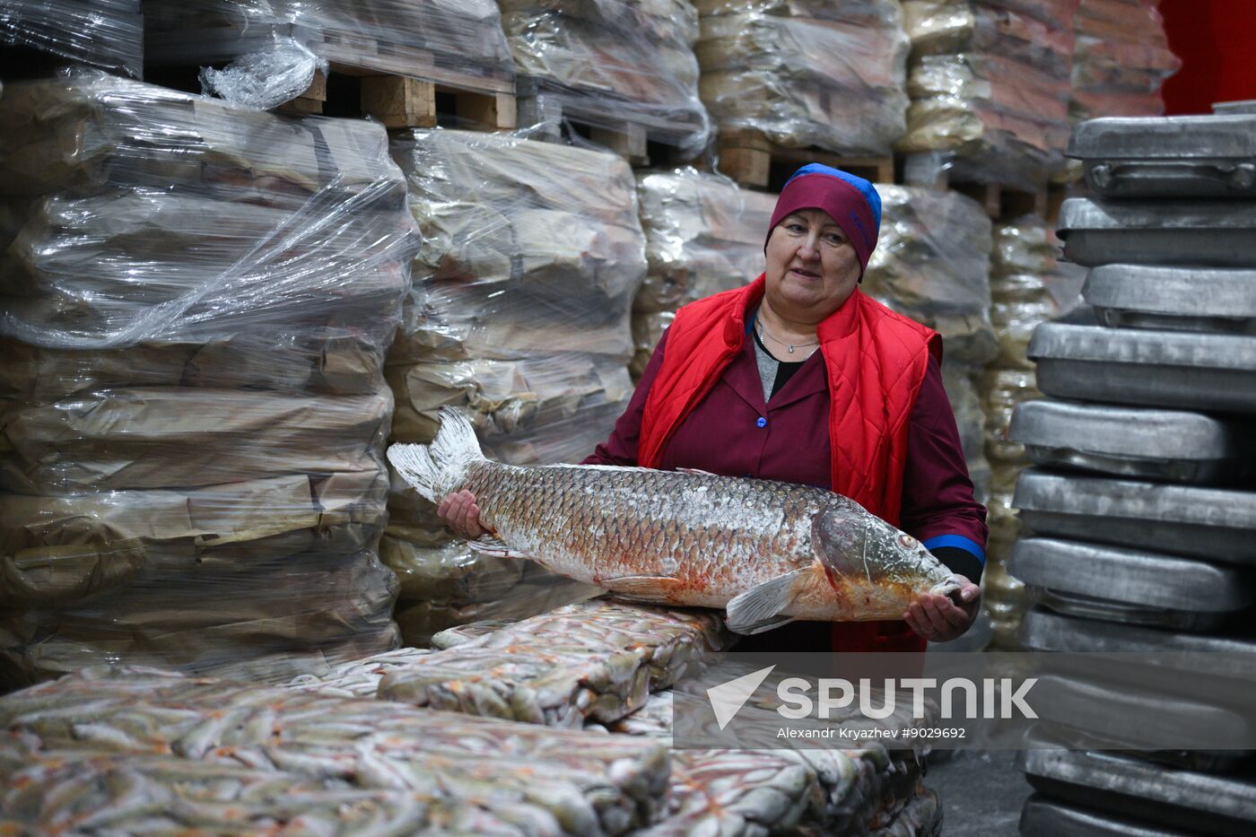 Russia Fish Industry