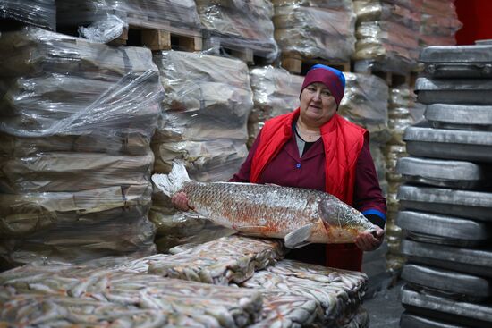 Russia Fish Industry