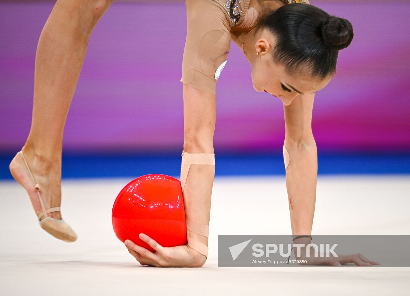 Russia Rhythmic Gymnastics Top Gymnasts Cup