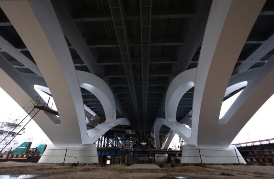 Russia Transport Infrastructure Bridge