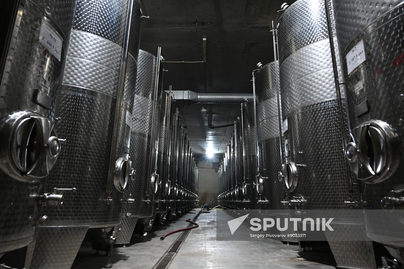 Russia Wine Industry