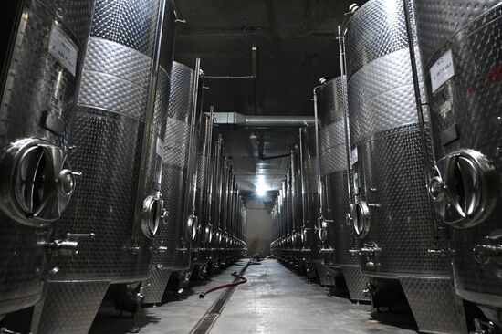 Russia Wine Industry