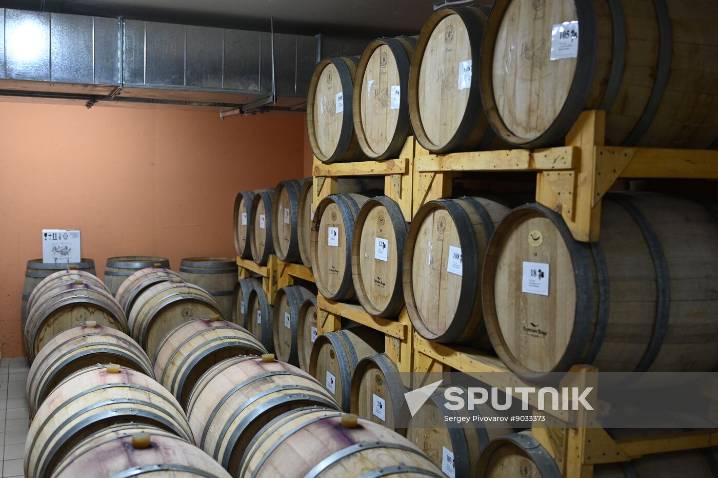 Russia Wine Industry