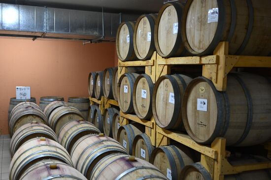 Russia Wine Industry