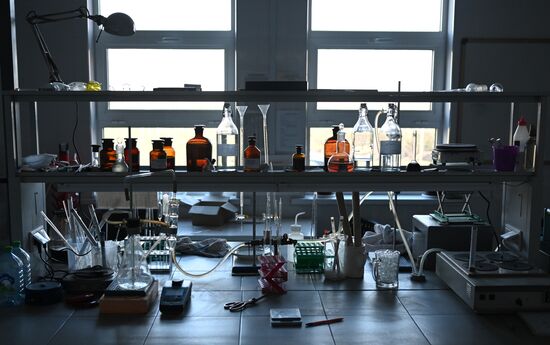 Russia Wine Industry