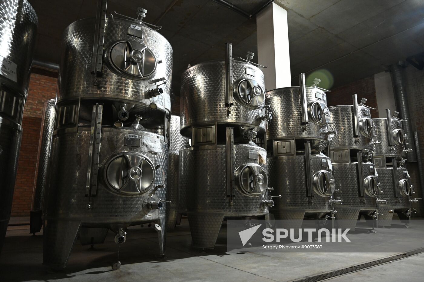 Russia Wine Industry