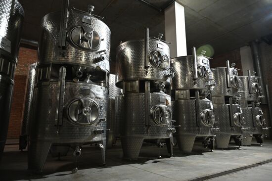 Russia Wine Industry