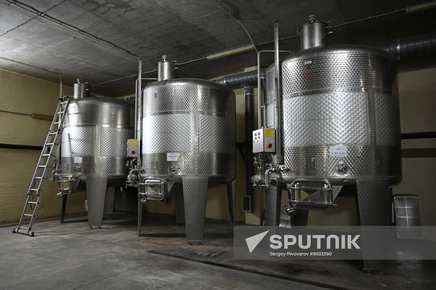 Russia Wine Industry