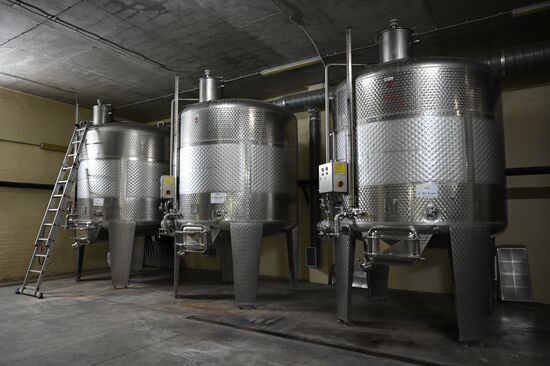 Russia Wine Industry