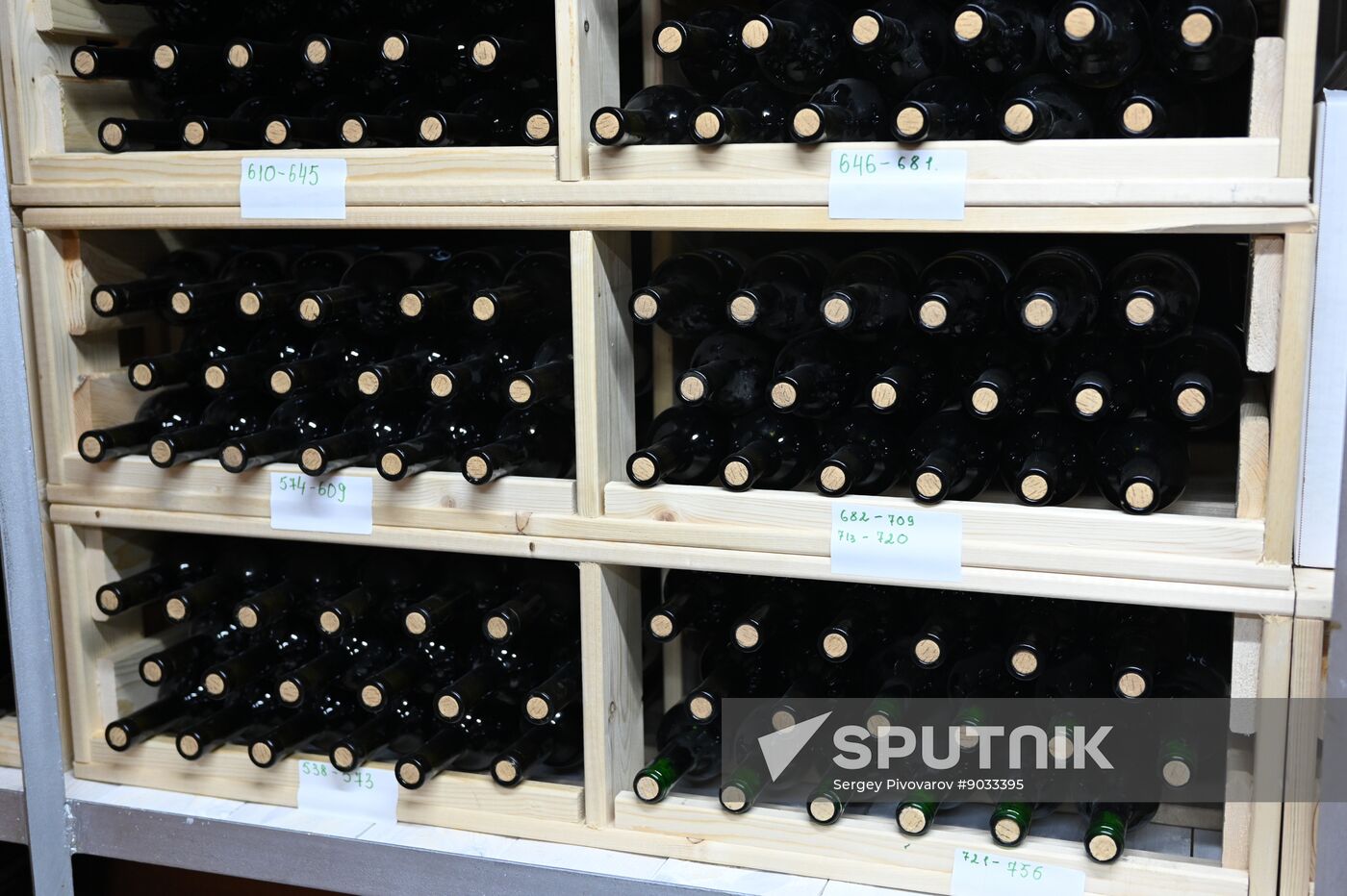 Russia Wine Industry