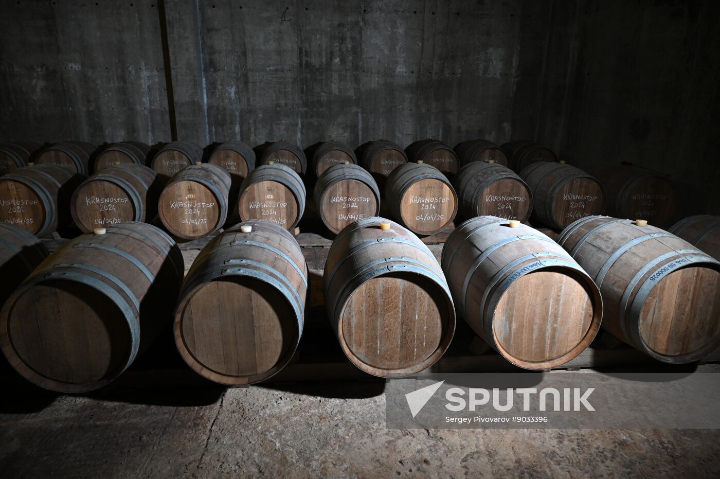 Russia Wine Industry