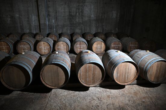 Russia Wine Industry