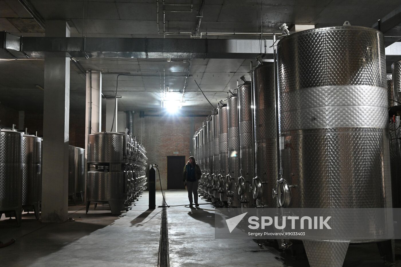 Russia Wine Industry