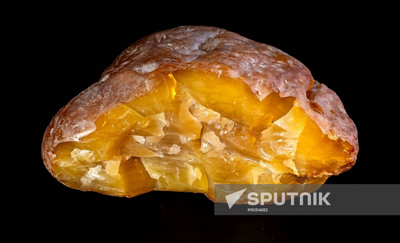 Russia Mining Industry Amber Nugget