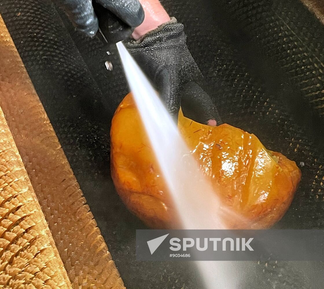 Russia Mining Industry Amber Nugget