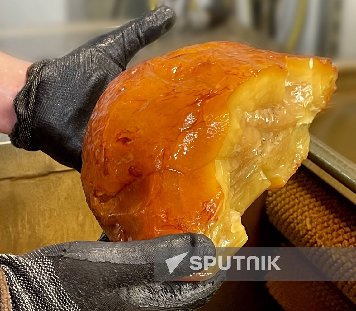Russia Mining Industry Amber Nugget