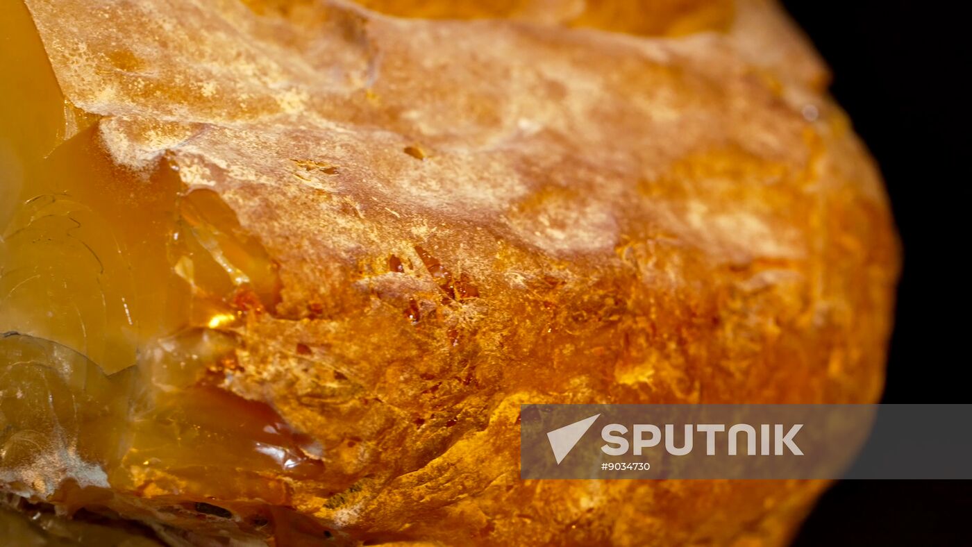Russia Mining Industry Amber Nugget