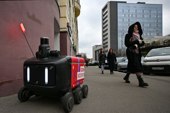 Russia Delivery Robots