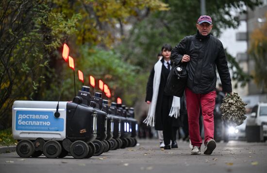Russia Delivery Robots