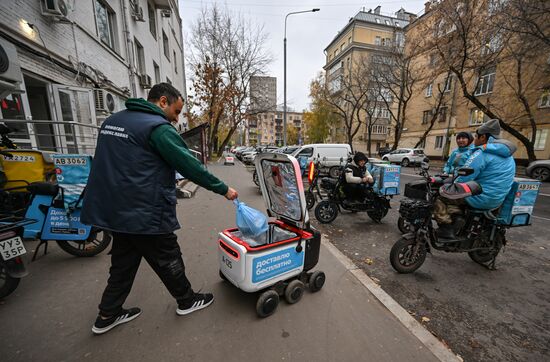 Russia Delivery Robots