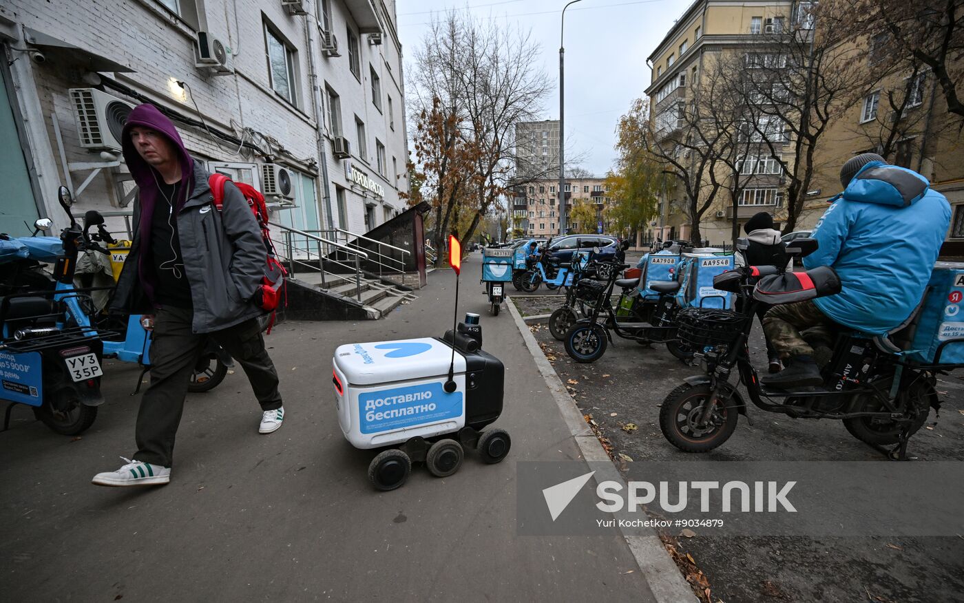 Russia Delivery Robots