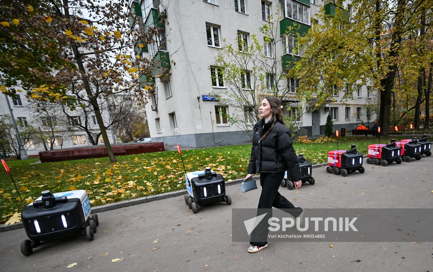 Russia Delivery Robots