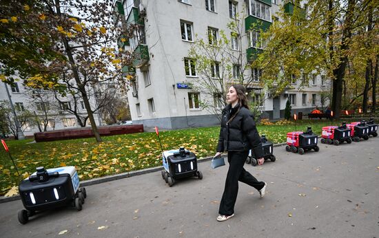 Russia Delivery Robots