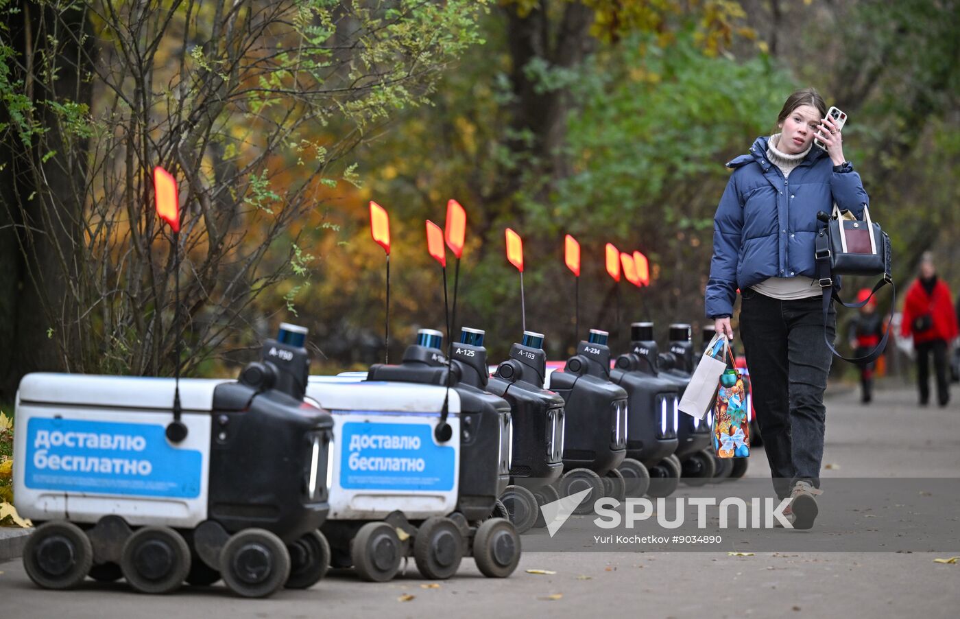 Russia Delivery Robots
