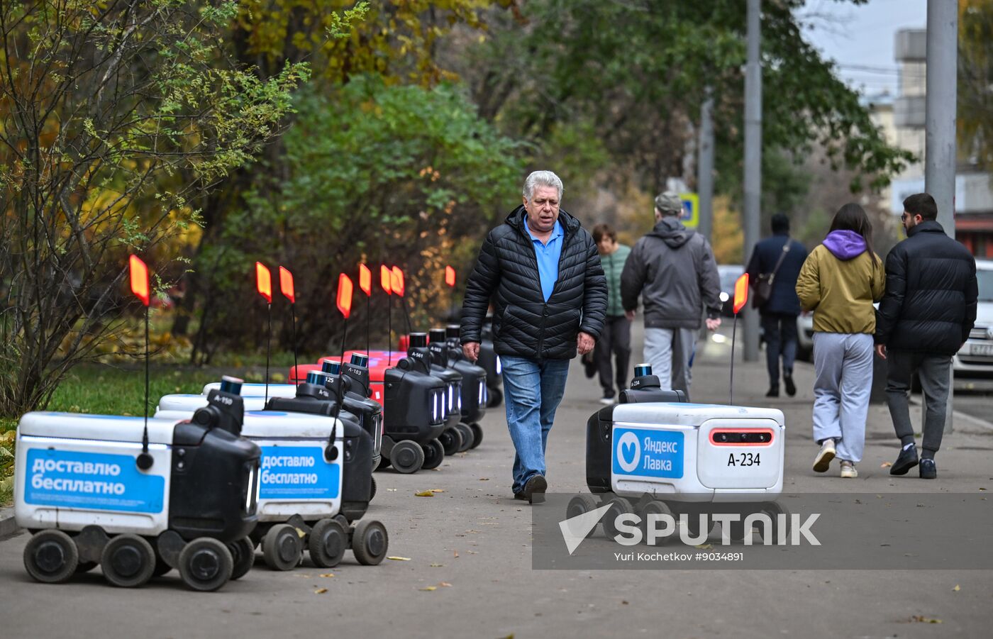 Russia Delivery Robots