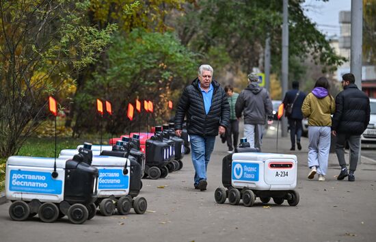 Russia Delivery Robots