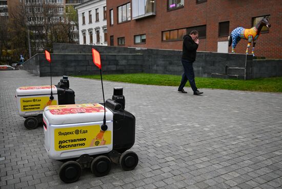 Russia Delivery Robots
