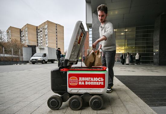 Russia Delivery Robots