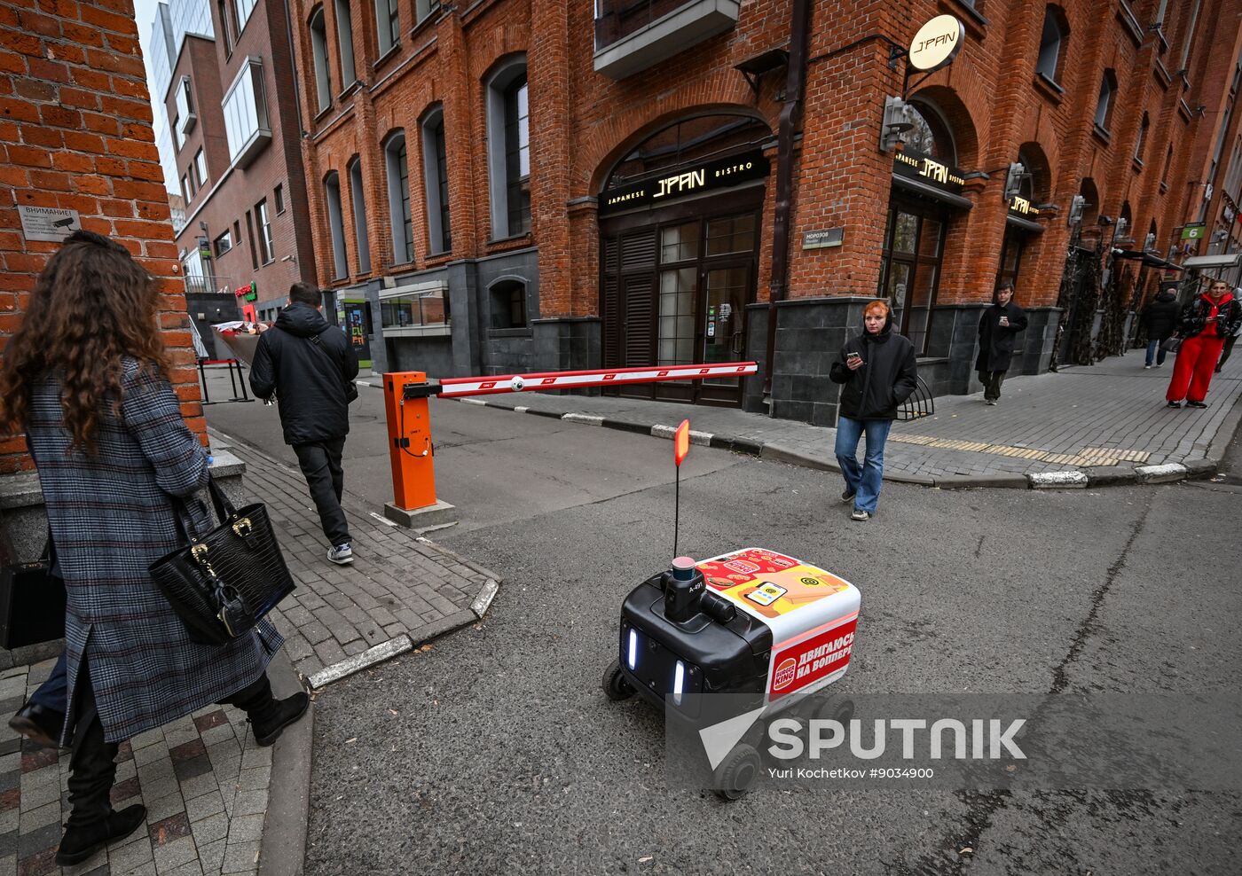 Russia Delivery Robots