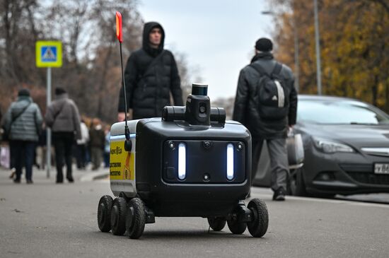 Russia Delivery Robots