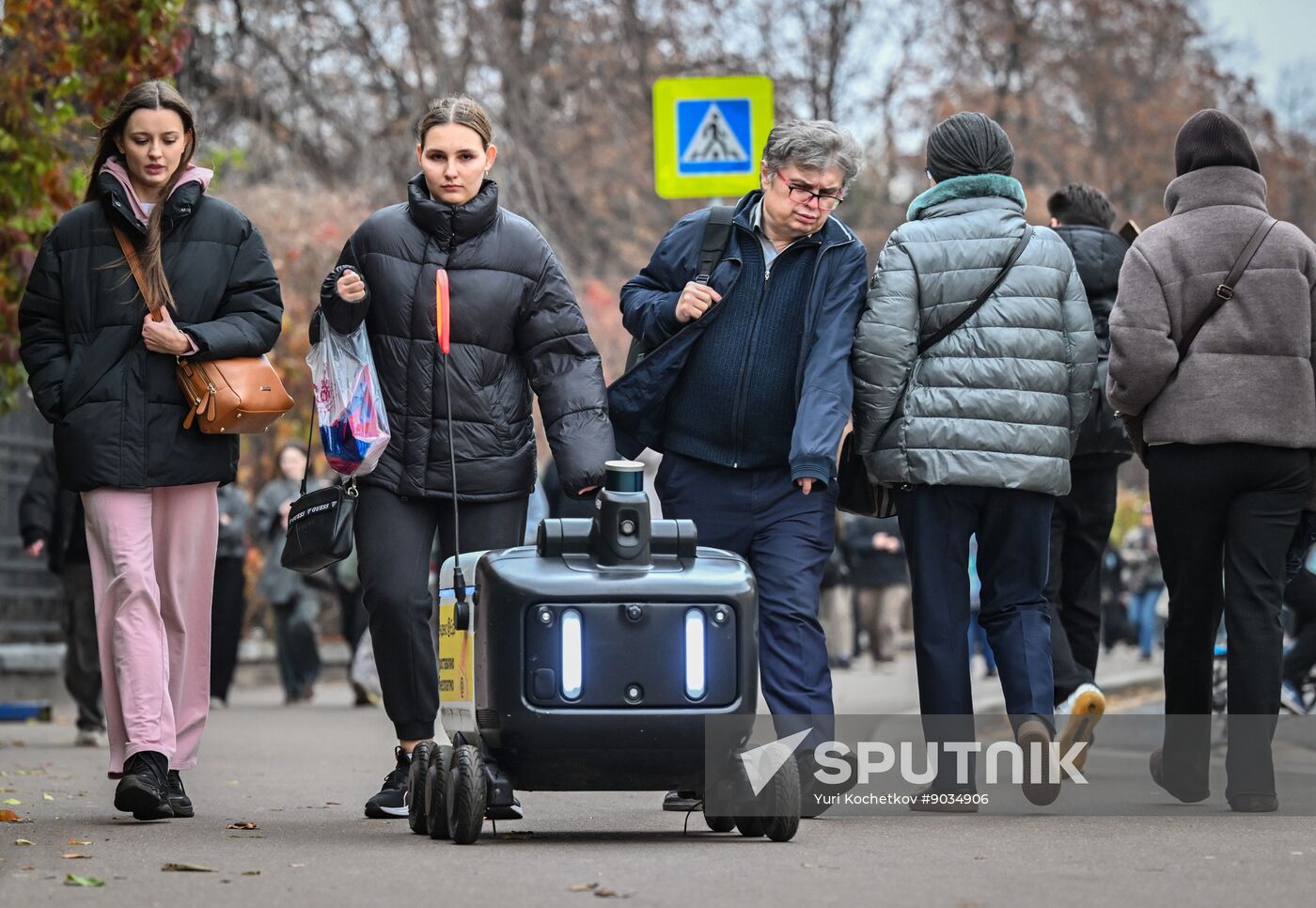 Russia Delivery Robots