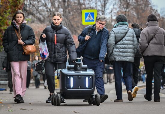 Russia Delivery Robots