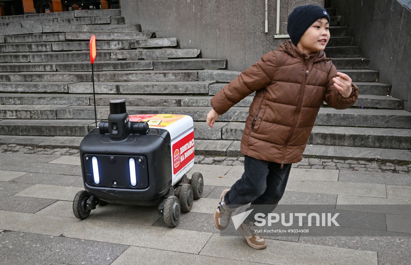 Russia Delivery Robots