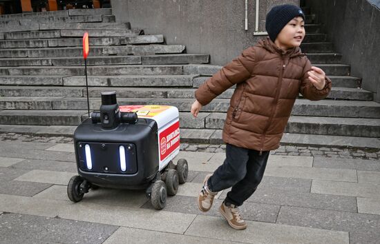 Russia Delivery Robots