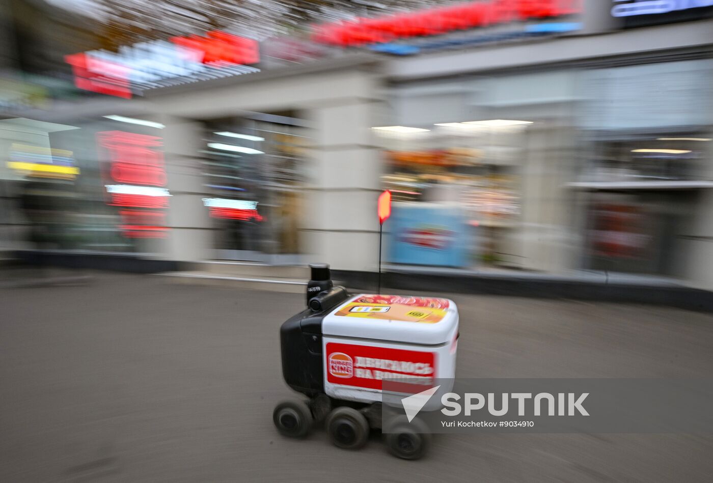 Russia Delivery Robots