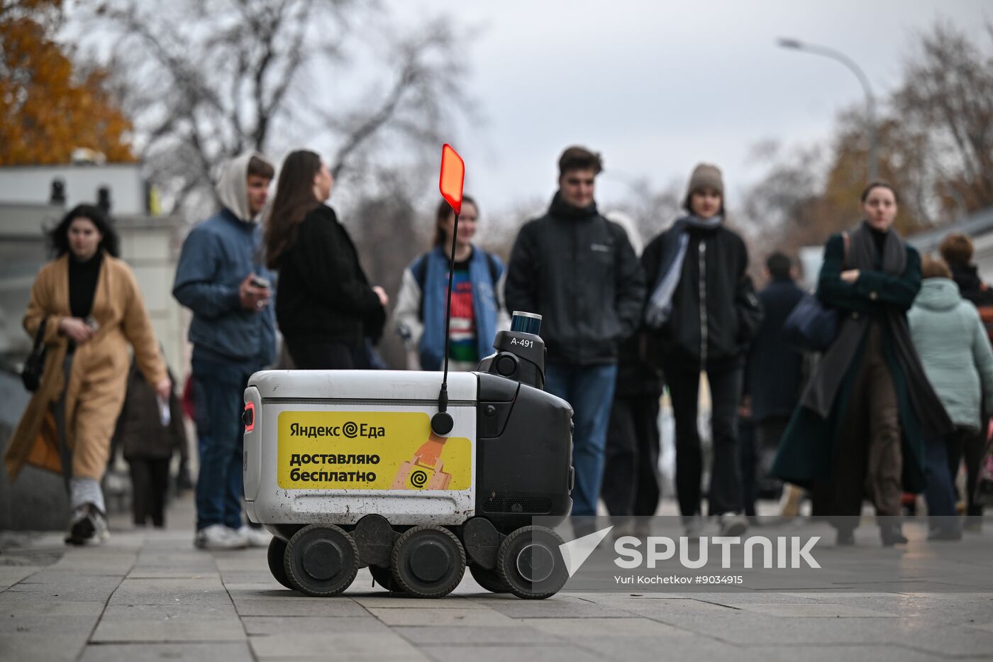 Russia Delivery Robots