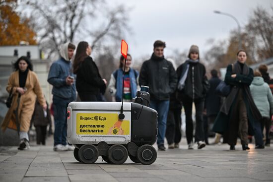 Russia Delivery Robots