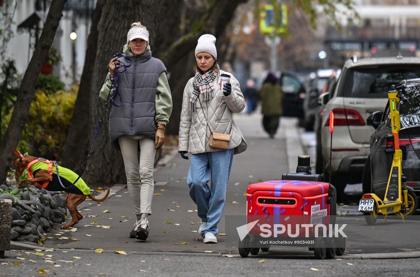 Russia Delivery Robots