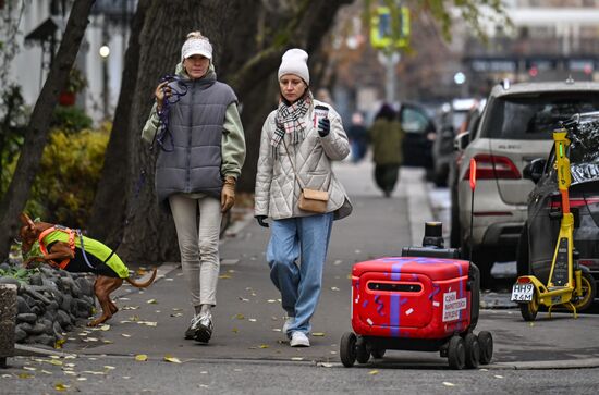 Russia Delivery Robots