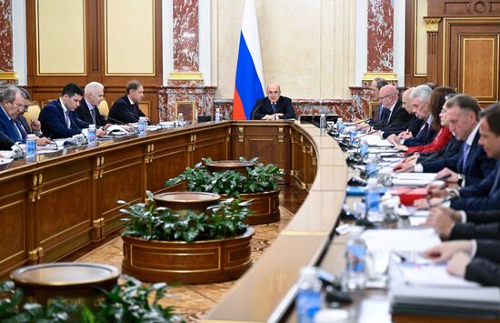 Russia Mishustin Electronics Industry